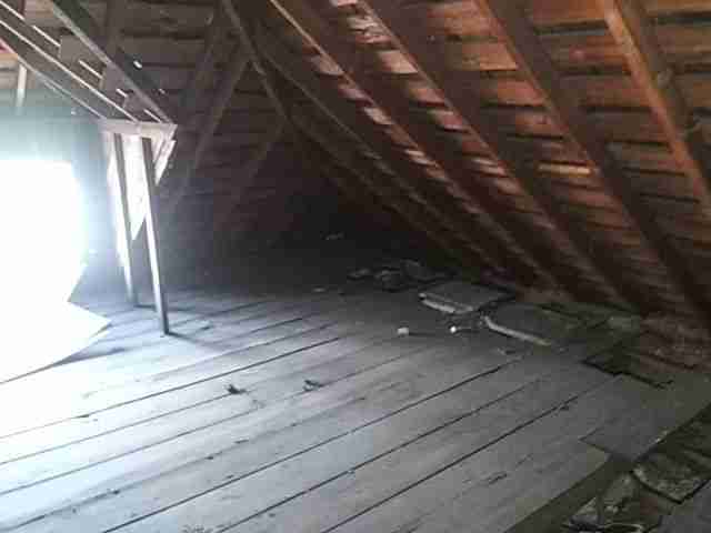 Testing again(35).jpg